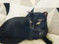 Diana
