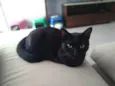 Diana