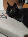 Diana