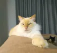 Jhonny