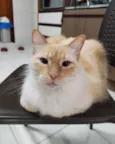 Jhonny