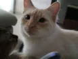 Jhonny