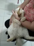 Jhonny