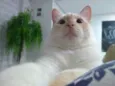 Jhonny