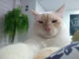 Jhonny