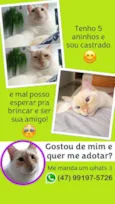 Jhonny