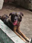 Maggie