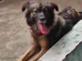 Maggie
