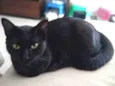 Diana