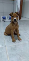 Freddie