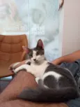 Chiquinha