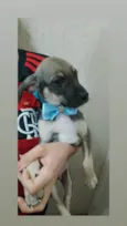 Marcos