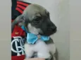 Marcos