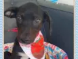 Bebezinha