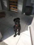 Luke