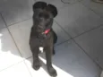 Luke