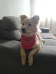 Mel