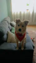 Mel