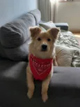 Mel