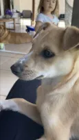 Mel