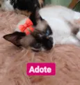 ZOE