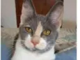 SOPHIA