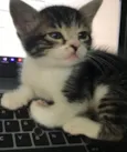 Nick