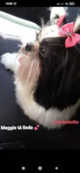 Meggie