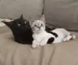 Norah e Eddie