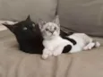 Norah e Eddie