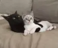 Norah e Eddie