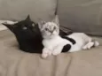 Norah e Eddie