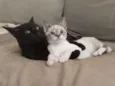 Norah e Eddie