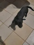 Blackinho 