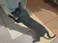 Blackinho 