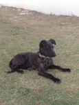 Julieta 