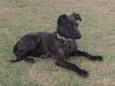 Julieta 