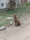 Antônio