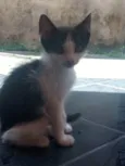 Nina