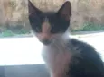 Nina