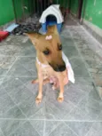 Frida