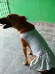 Frida