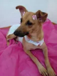Frida