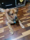 Chiquinho