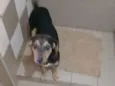 yy