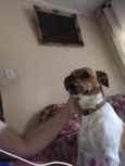 Bob