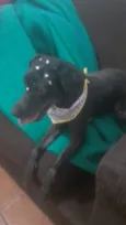 Pérola