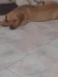 Frida