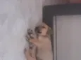 Frida