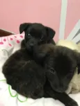 Kiara e charlotte